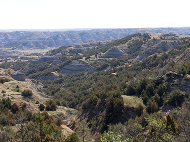 Valley in Theodore Roosevelt National Park