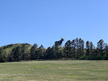 World's Largest Holstein Cow in center of hill