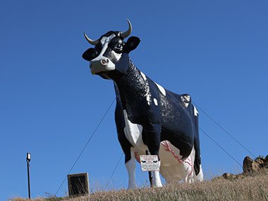 World's Largest Holstein Cow statue