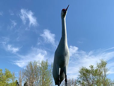 Sun shines on World's Largest Sandhill Crane