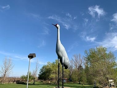 Light pointed at World's Largest Sandhill Crane
