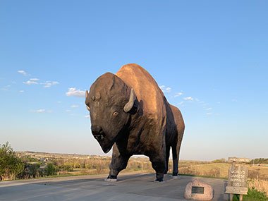 World's Largest Buffalo with cloud in sky
