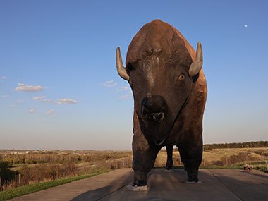 Directly in front of World's Largest Buffalo