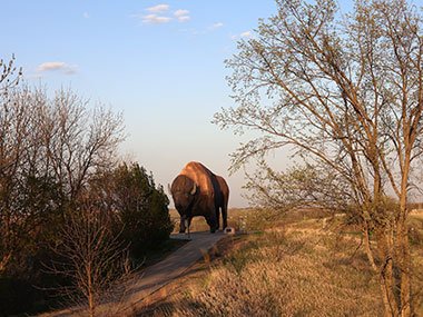 World's Largest Buffalo beyond trees