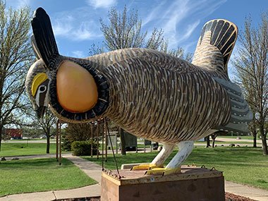 World's Largest Prairie Chicken from side