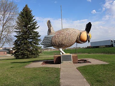 World's Largest Prairie Chicken with traffic behind