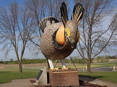World's Largest Prairie Chicken from front