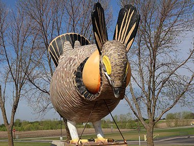 Trees beyond World's Largest Prairie Chicken