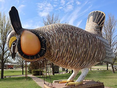 World's Largest Prairie Chicken with trees behind it