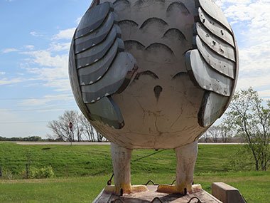Behind World's Largest Prairie Chicken