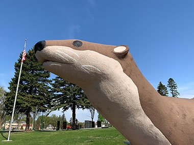 World's Largest Otter head