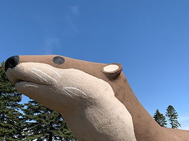 World's Largest Otter head