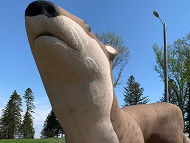 Under World's Largest Otter