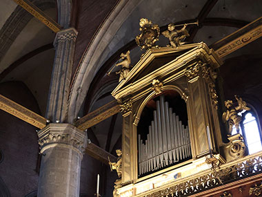 Pipe organ pipes