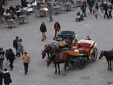 Two horses with carriages