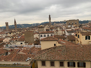 Rooftops of Venice