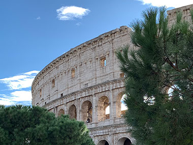 Wo trees in front of the Colosseum