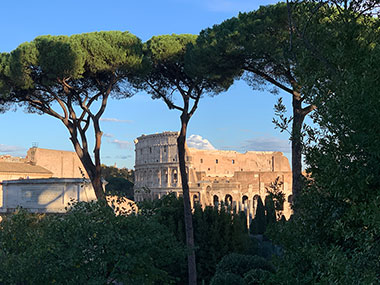 The Colosseum and beyond the Roman Forum