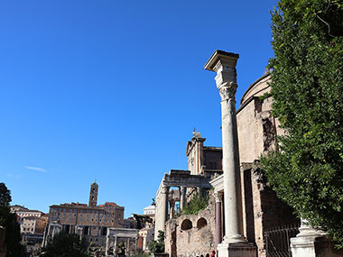  Several buildings in Roman Forum