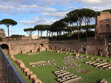 Trees beyond ruins in Roman Forum