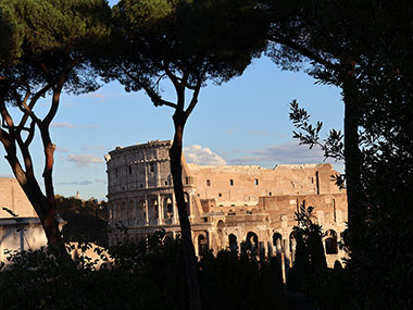 Trees in front of the Colosseum