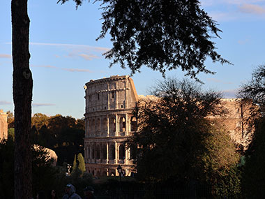 Bush partially obscures the Colosseum