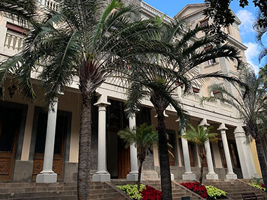 Several palm trees at building entrance