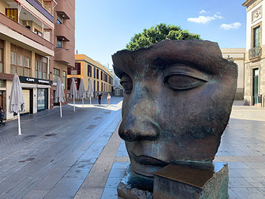 Sculpture of a face with tree above