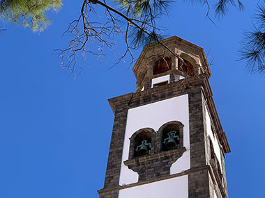 Branch in front of bell tower