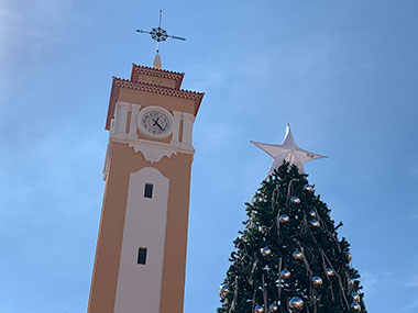 Christmas tree next to clock tower