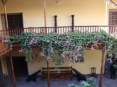 View of flowers on second floor of Casa Museo de Colón