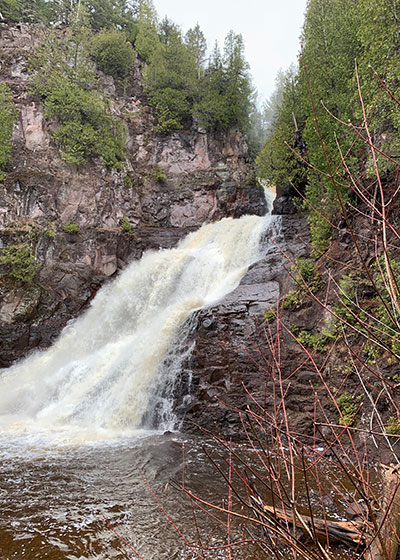 waterfall with trees on the cliff