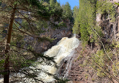 Caribou Falls behind pine tree