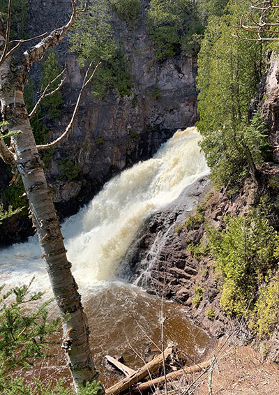 Caribou Falls beyond trees