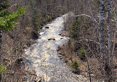 River beyond trees