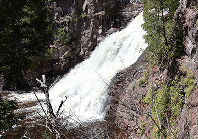 Waterfall beyond fallen tree limb