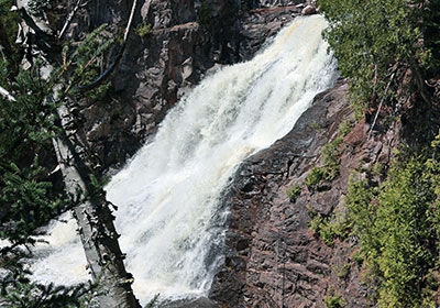 Waterfall flows behind tree