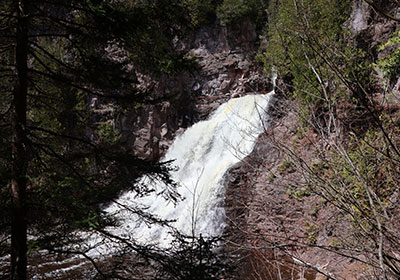 Waterfall beyond evergreen