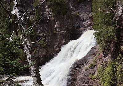 Waterfall with tree in front of it