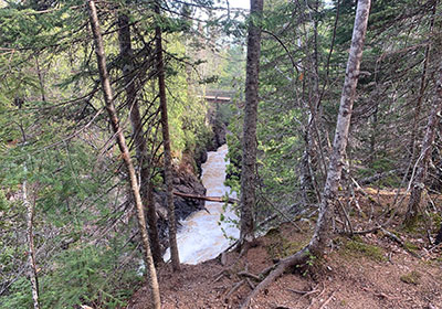 Cascade River flows under bridge and fallen tree