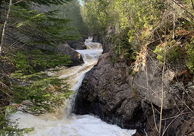 Cascade River flows by a tree