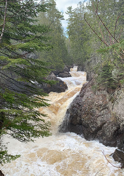 Cascade River flows behind a tree