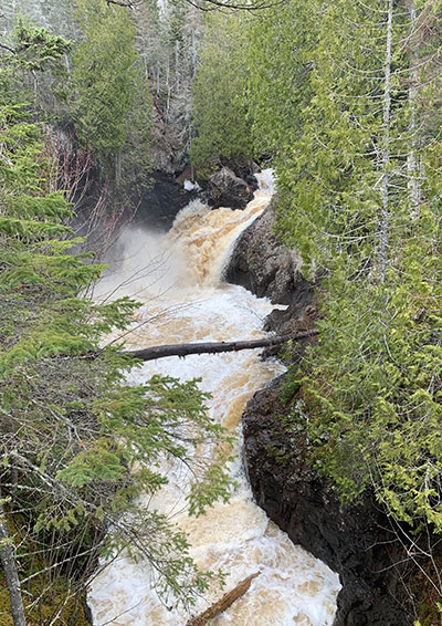 Cascade River flowing under a fallen tree