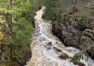 River rushes unde bridge