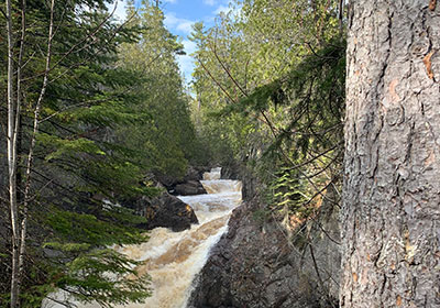 Trees grow up with river in background