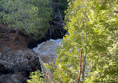 River in distance with trees beyond