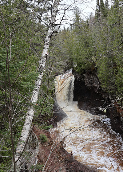 Cascade River flows beyond white tree