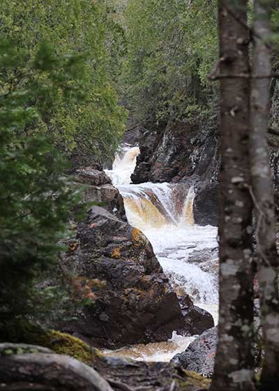 Waterfall to left of tree