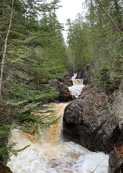 Evergreen tree in front of waterfall