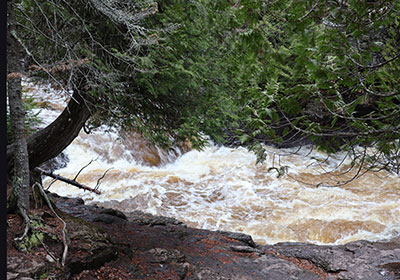 River flows below tree branches